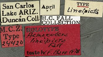 Media type: image;   Entomology 24420 Aspect: labels